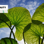 Cica Is The Latest Buzz In Skincare, But Should You Use It?