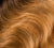 Dark Blonde (#27) with Dark Roots (#1B)||carousel