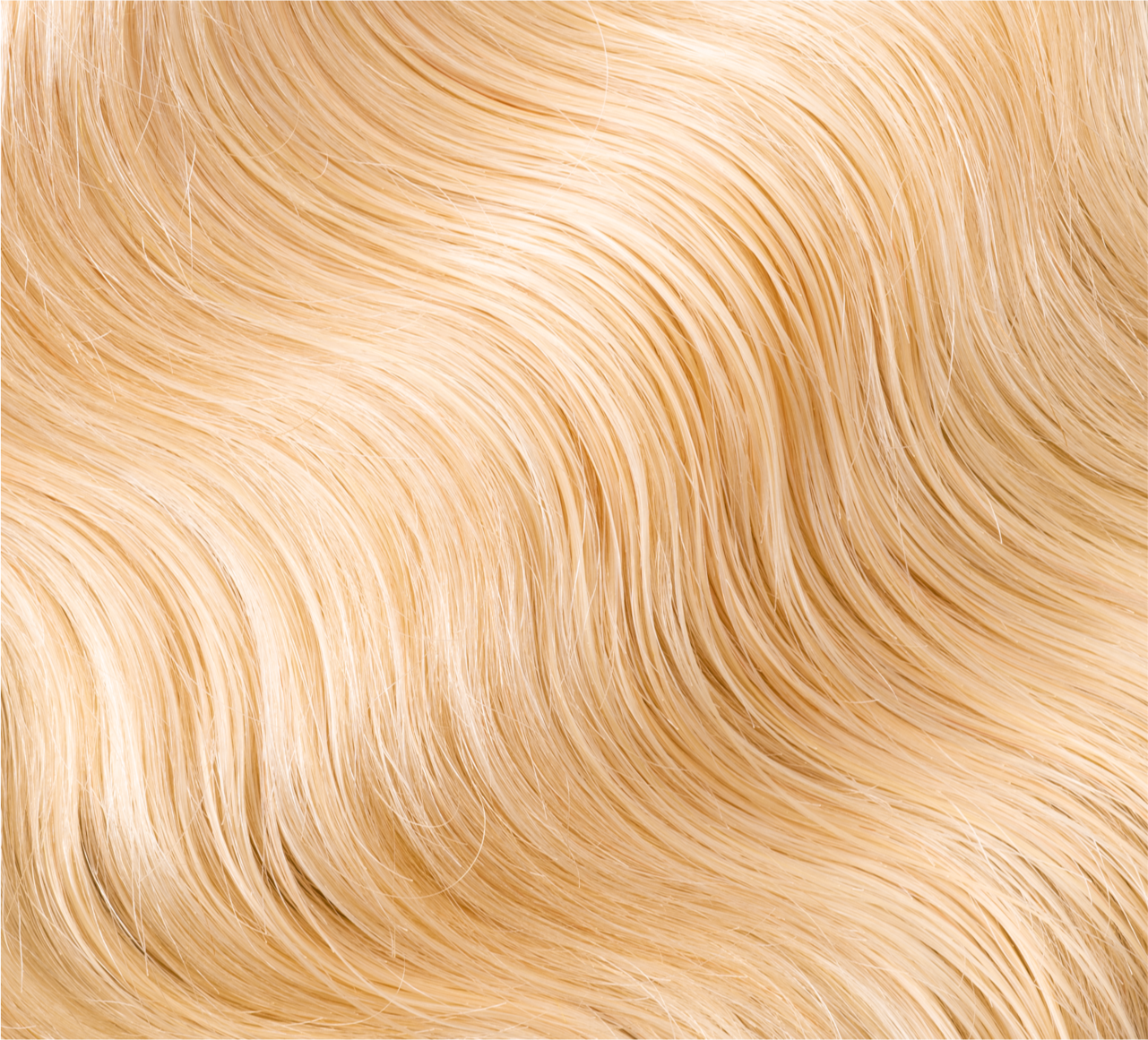 Blonde (#613)||carousel