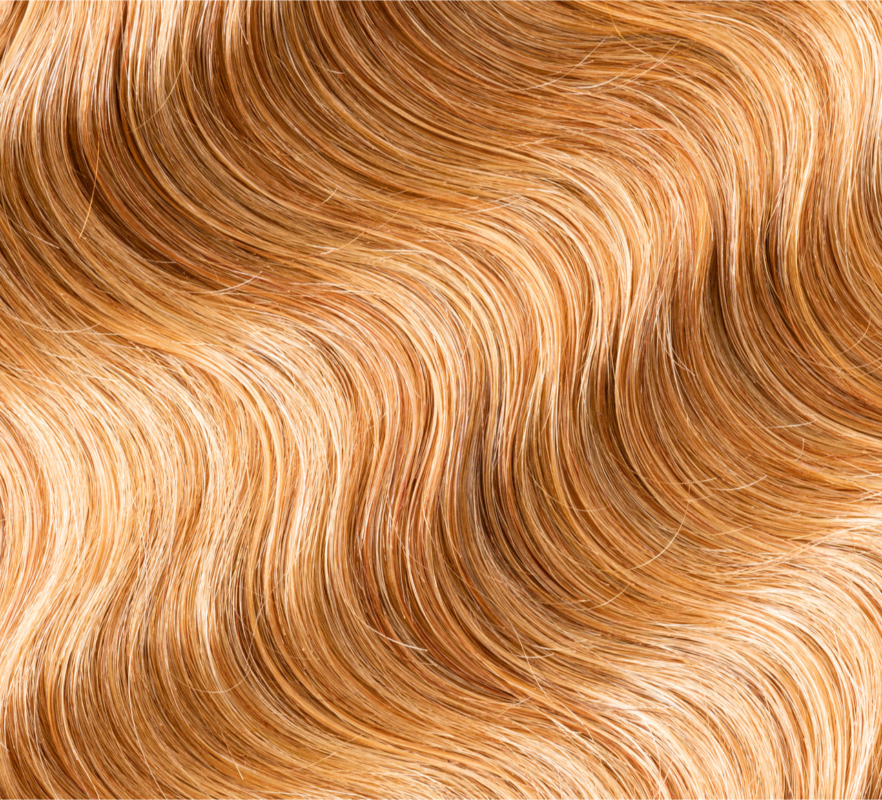 Dark Blonde (#27)||carousel