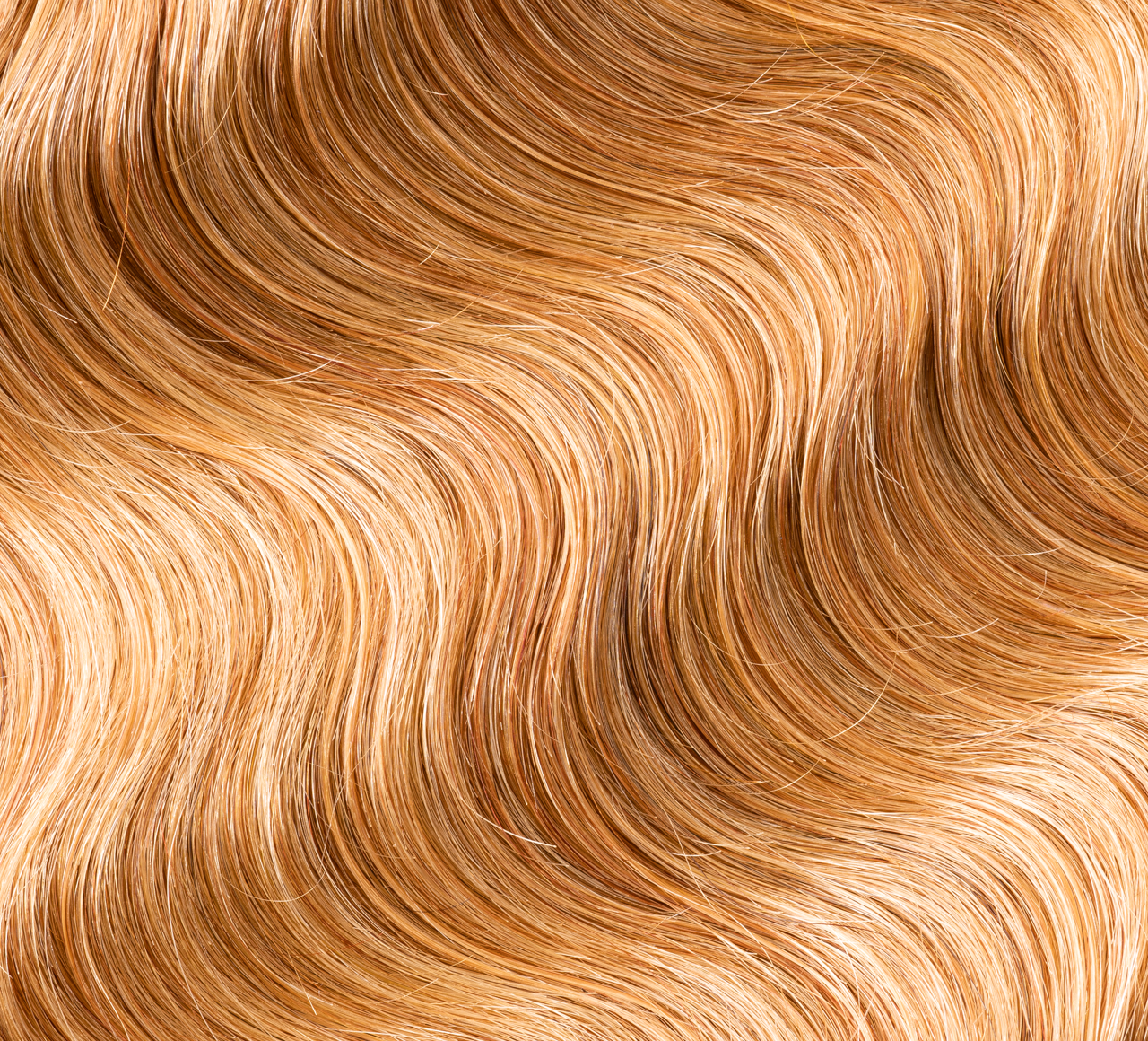 Dark Blonde (#27)||carousel