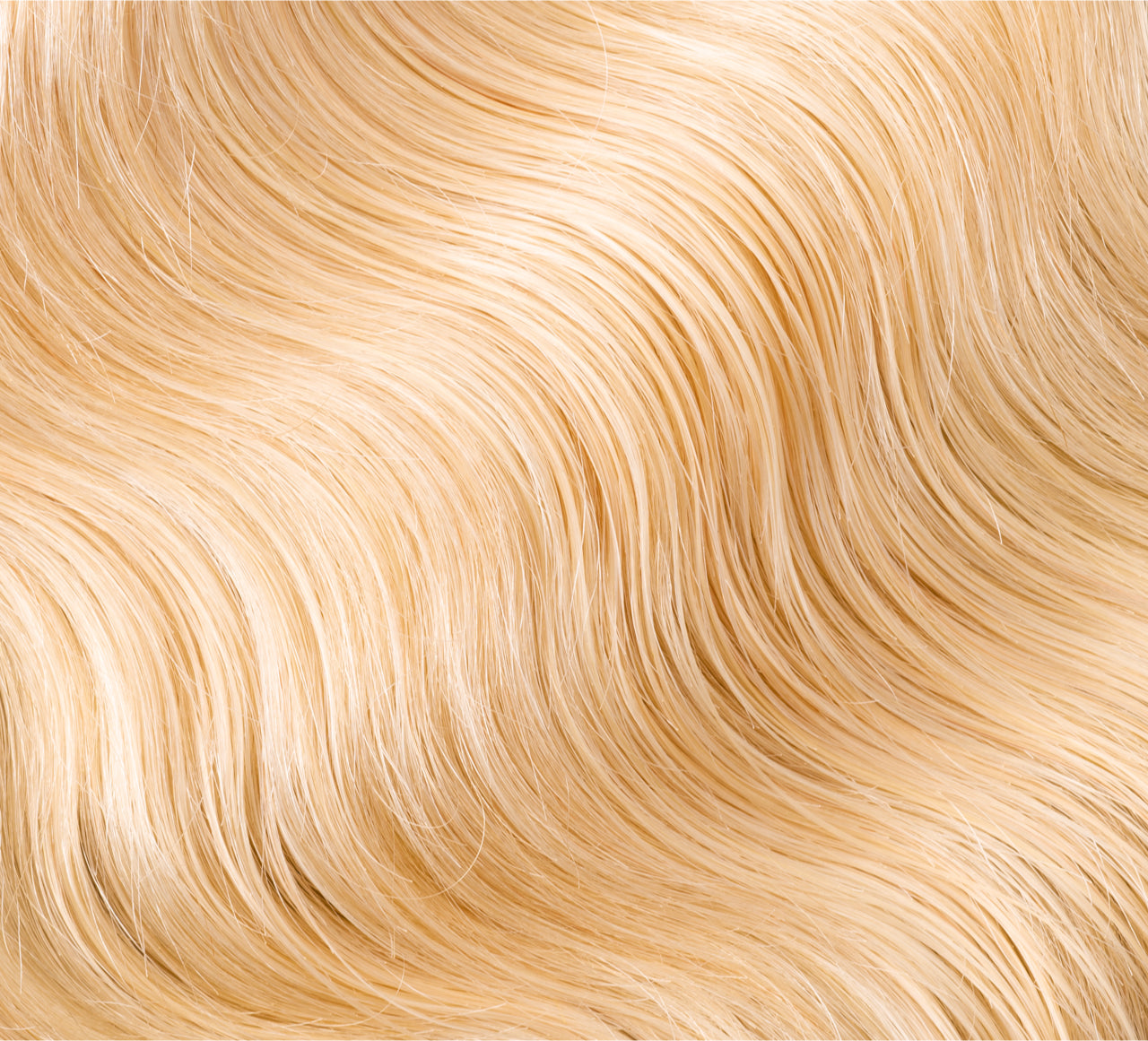 Blonde (#613)||carousel