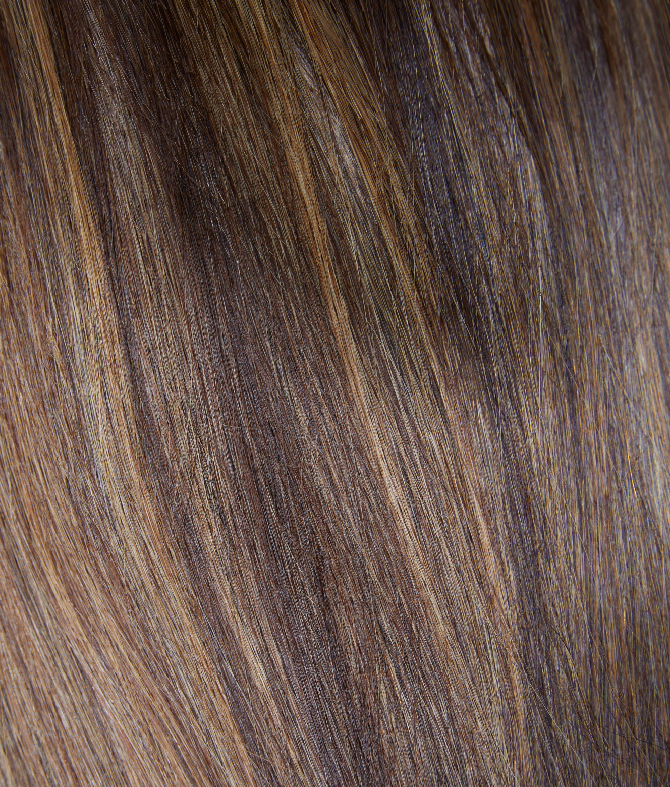 #5 Brown with Blonde Highlights||carousel