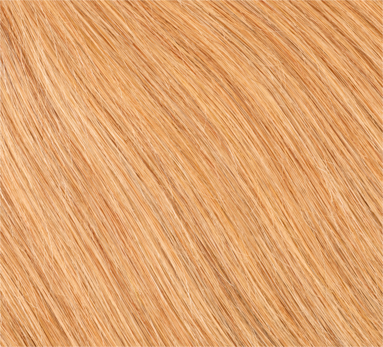 Dark Blonde (#27)||carousel