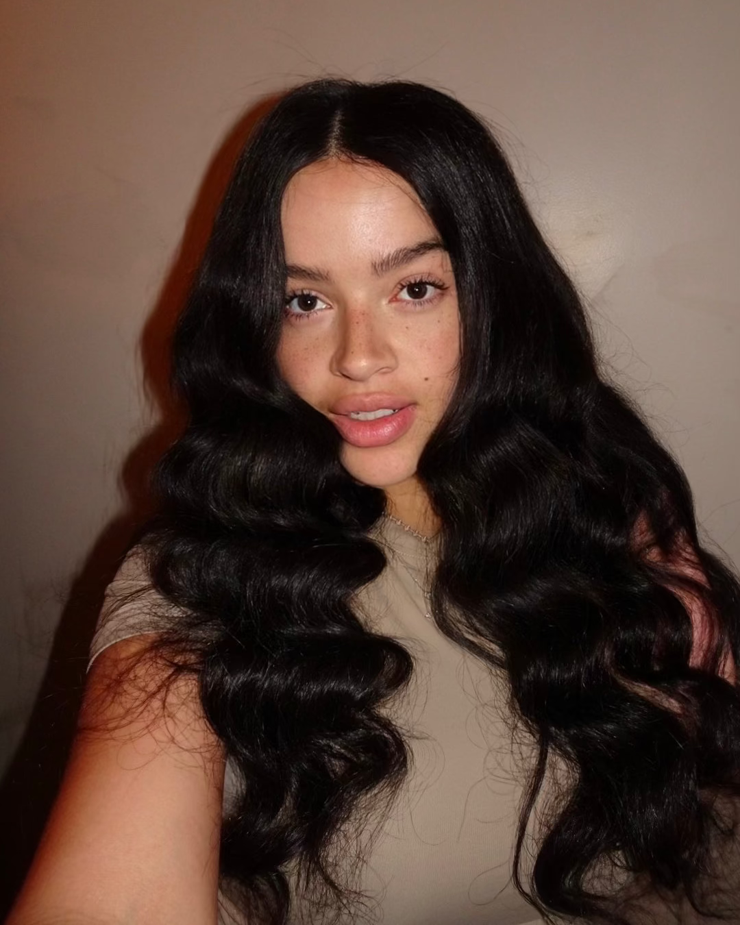 HD Lace Front Brazilian Loose Wave Wig