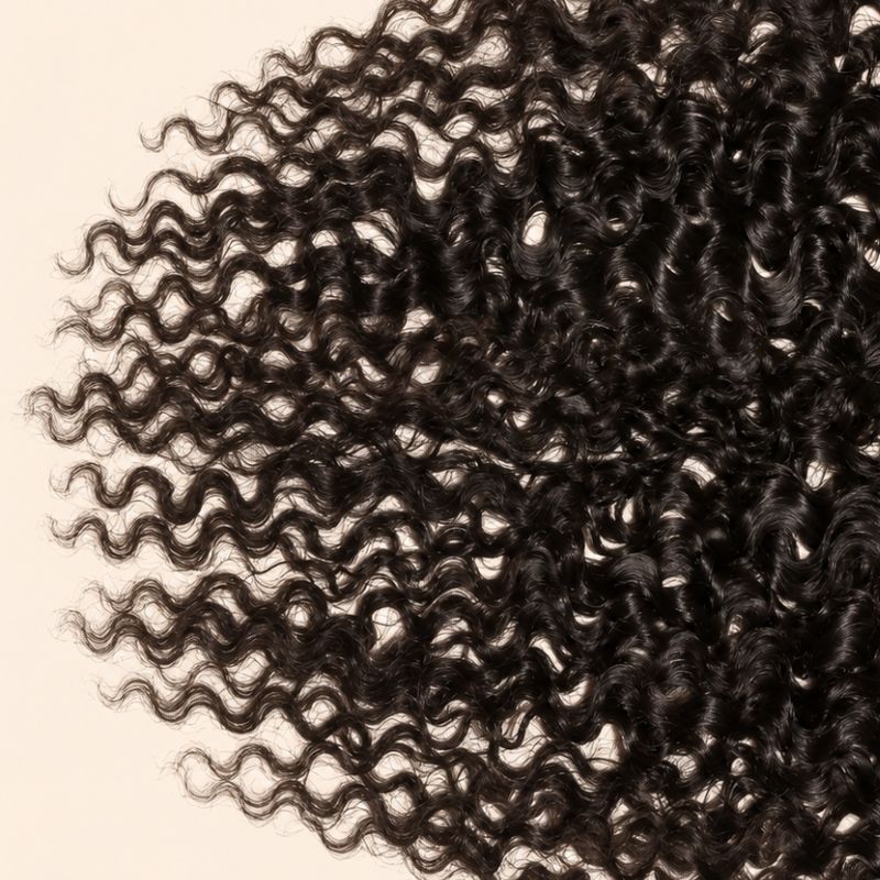 Close-up of the raw Burmese curly texture on a 13x4 HD lace frontal
