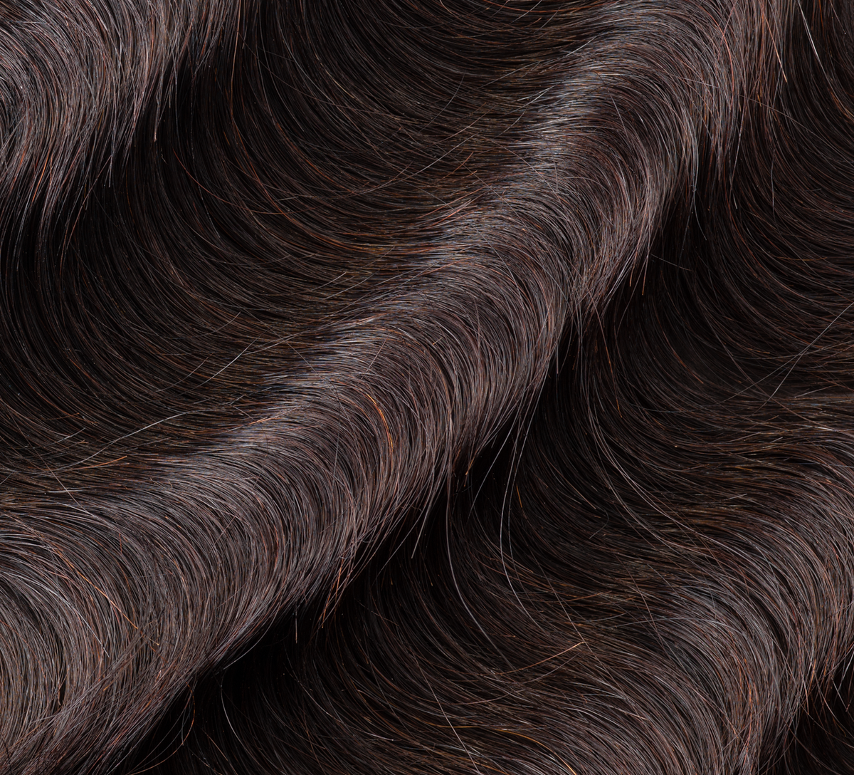 Hand holding a natural black Brazilian loose wave bundle to show weft quality