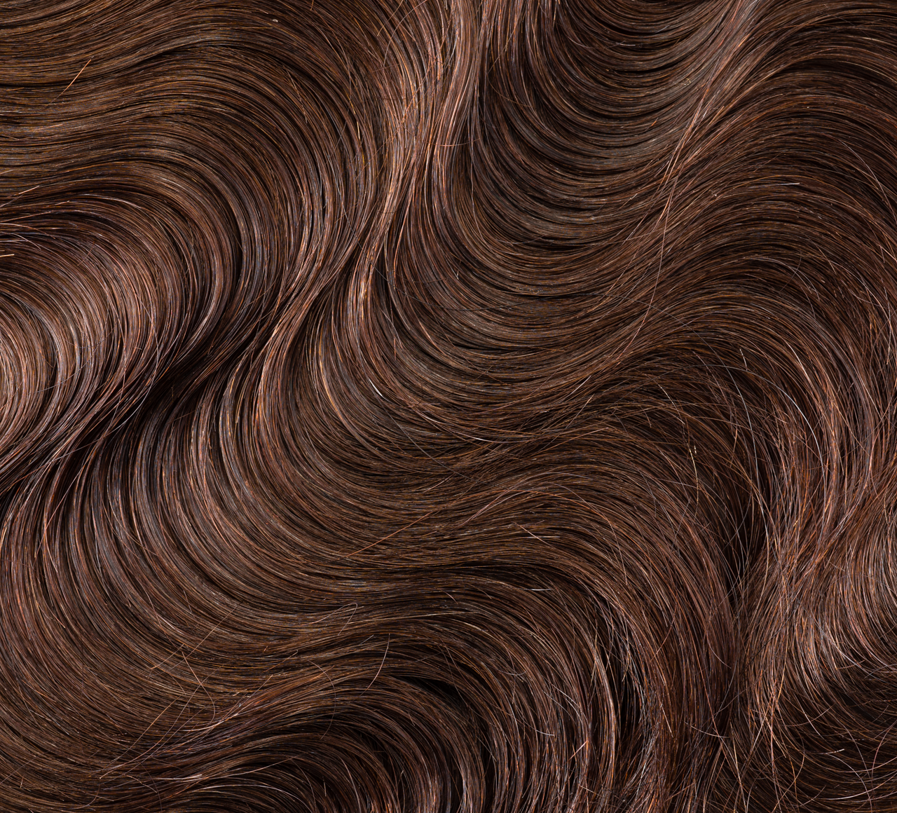 Back view of a chocolate brown body wave install with a 5x5 closure