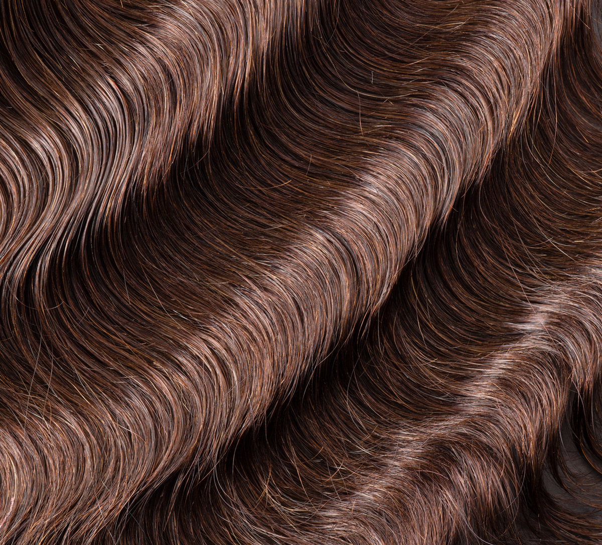 Back view of a chocolate brown loose wave install with a 5x5 closure