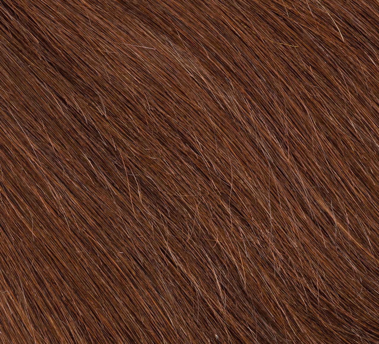 Back view of a chocolate brown straight install with a 5x5 closure