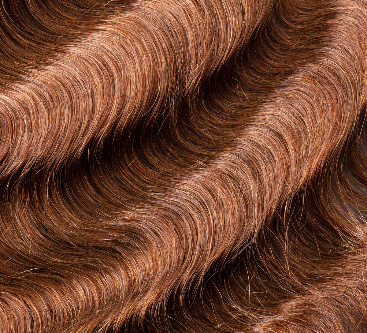Back view of a caramel brown loose wave sew-in showing warm shine